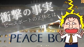 【専門家が教える】ピースボートの正体・実態を口コミ・評判から徹底調査 